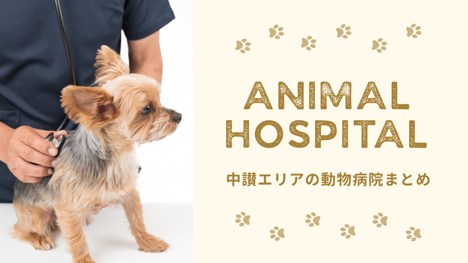 中讃エリアの動物病院まとめ